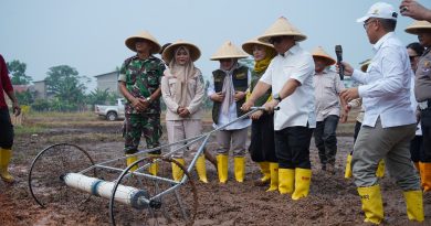 Tanam Padi Bersama di Bintan, Wagub Kepri Ajak Petani Adopsi Teknologi Pertanian