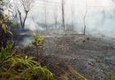 Kebakaran Lahan di Jalan Daeng Celak Nyaris Sambar Rumah Warga dan Kedai Kopi Sembang